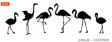 Set of silhouettes of flamingo birds Set of silhouettes of flamingo birds 33369648