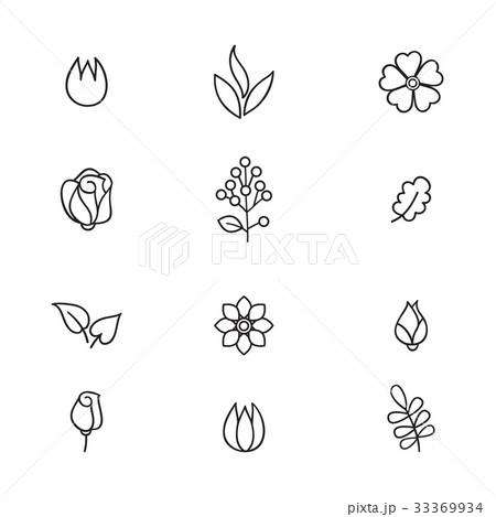 Floral icon set. Flowers and leaves. Nature sings Floral icon set. Flowers and leaves. Nature sings 33369934