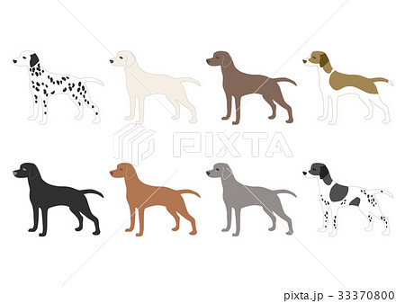犬の種類 イラスト アイコンのイラスト素材