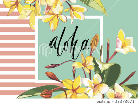 Floral frame with Plumeria flowers on light Floral frame with Plumeria flowers on light 33373071