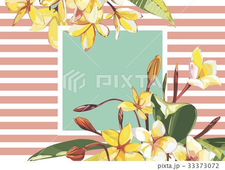 Floral frame with Plumeria flowers on light Floral frame with Plumeria flowers on light 33373072