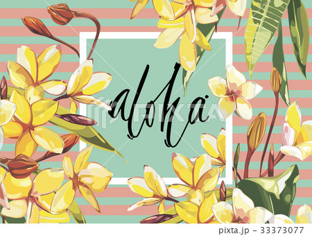 Floral frame with Plumeria flowers on light Floral frame with Plumeria flowers on light 33373077