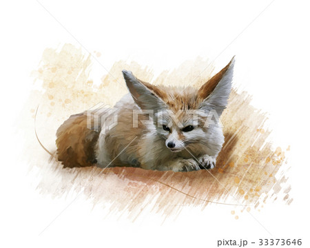 Fennec Fox watercolor 33373646