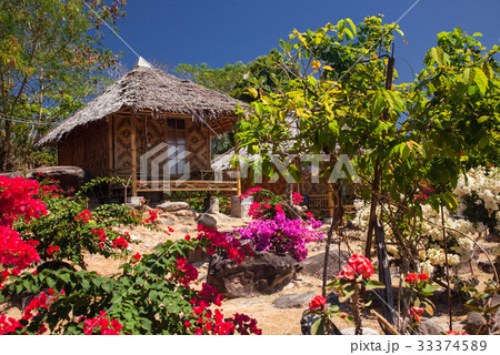 wooden bungalows in tropical garden  33374589