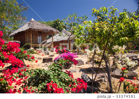 wooden bungalows in tropical garden  33374591