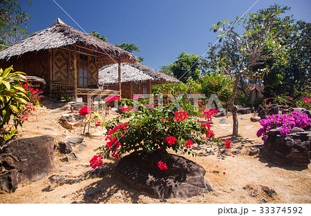 wooden bungalows in tropical garden  33374592