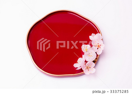 梅皿の上の梅花 梅皿の上の梅花 33375285