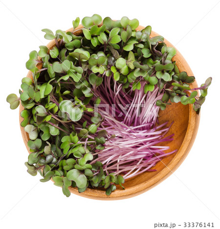 Red cabbage sprouts in wooden bowl over white Red cabbage sprouts in wooden bowl over white 33376141
