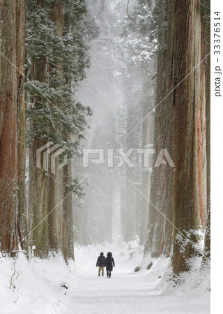 戸隠奥社の杉並木と人 33376514