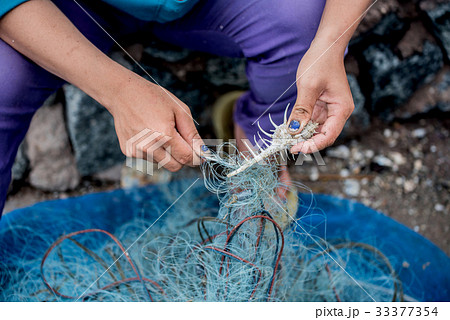 fisherman working harbor, fresh seafood at harbor 33377354