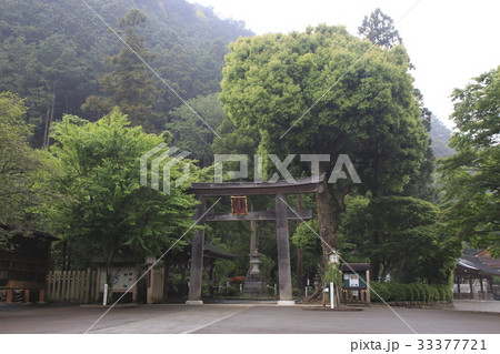 霧雨降る、初夏の高麗神社にて（二の鳥居） 33377721
