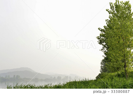 木 霧 風景 33380887