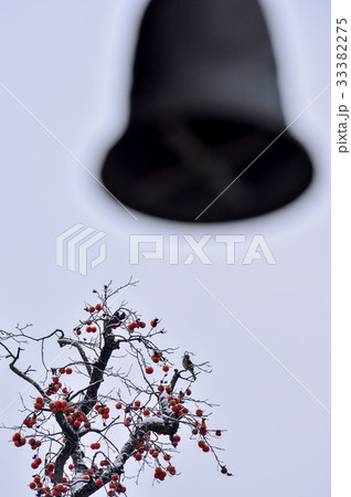 種 風景 自然 33382275