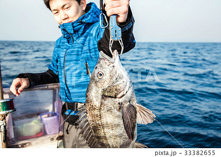 釣り チヌ 釣果 釣り チヌ 釣果 33382655