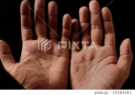 手相 33383261