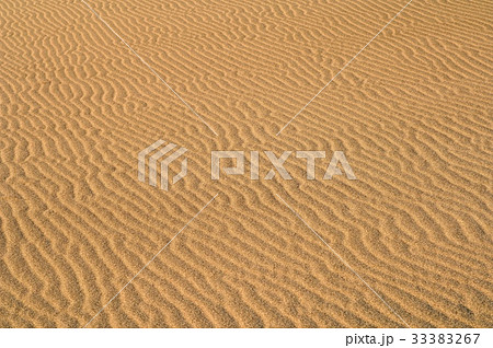 砂丘の風紋 砂丘の風紋 33383267