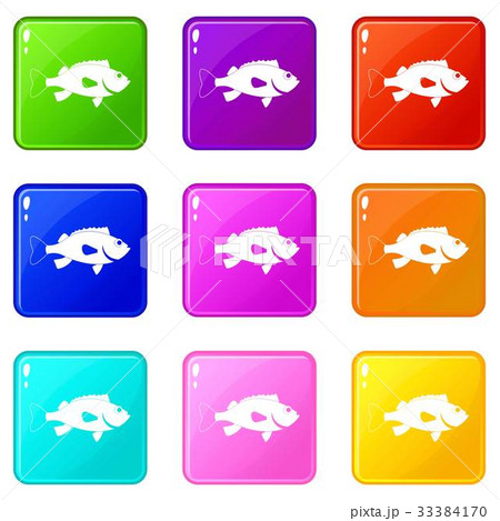 Sea bass fish icons 9 set 33384170