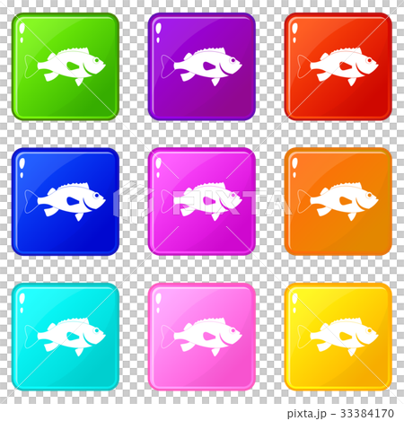 Sea bass fish icons 9 set 33384170