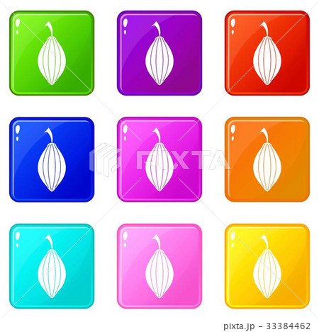 Black cardamom pod icons 9 set 33384462
