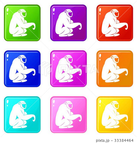 Monkey sitting icons 9 set Monkey sitting icons 9 set 33384464