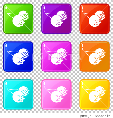 Chokeberry or aronia berry icons 9 set Chokeberry or aronia berry icons 9 set 33384616