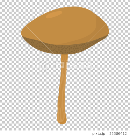 Yellow boletus mushroom icon, cartoon style 33386412