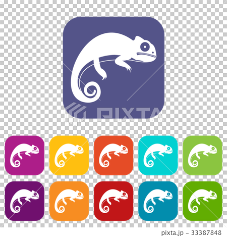Chameleon icons set Chameleon icons set 33387848