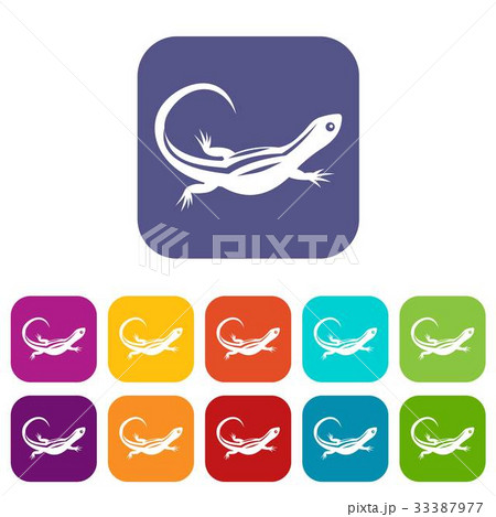 Lizard icons set 33387977