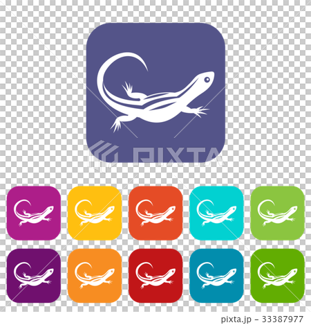 Lizard icons set 33387977