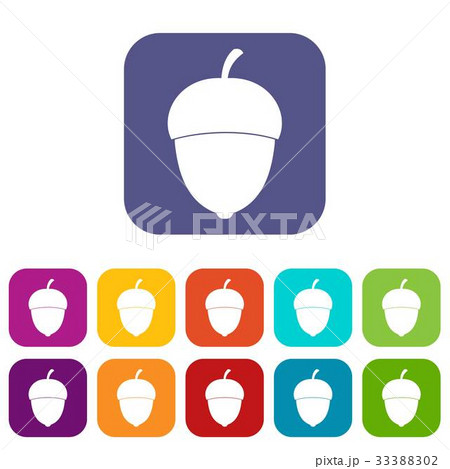Acorn icons set Acorn icons set 33388302