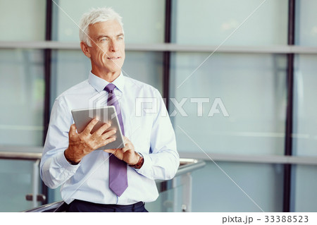 Success and professionalism in person 33388523