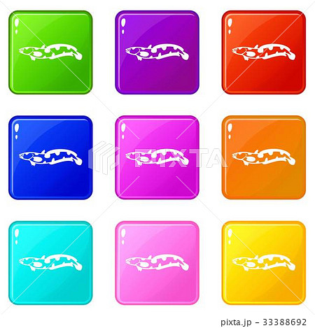 Anarhichas fish icons 9 set 33388692
