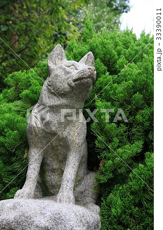 犬の石像の写真素材 [33390011] - PIXTA