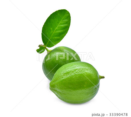 two whole of fresh green lime with green leaf  33390478