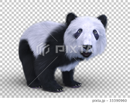Panda Panda 33390960