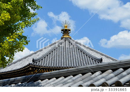 大阪　四天王寺の風景 33391665