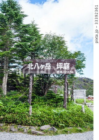 北八ヶ岳ロープウェイ 北八ヶ岳ロープウェイ 33392361