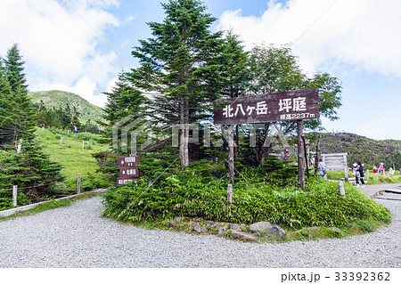 北八ヶ岳ロープウェイ 北八ヶ岳ロープウェイ 33392362