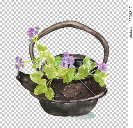 鐵瓶和杜鵑薊 鐵瓶和杜鵑薊 33392474