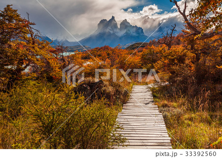 Beautiful autumn in Torres del Paine, Chile 33392560