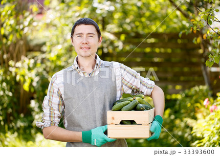Photo of farmer with cucumbers 33393600