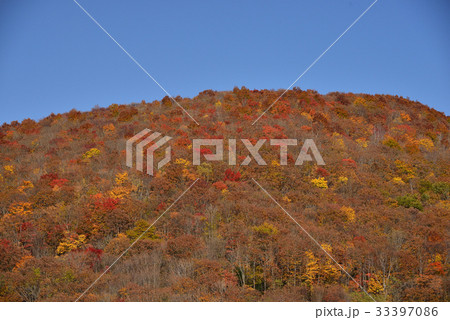 快晴の青空と全山紅葉の山を撮影 33397086