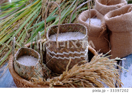 paddy grain and rice seed 33397202