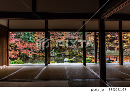 秋の京都　蓮華寺 33398143