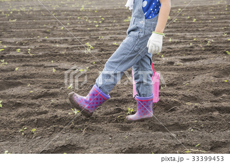 畑を歩く子供 農業体験イメージ 畑を歩く子供 農業体験イメージ 33399453