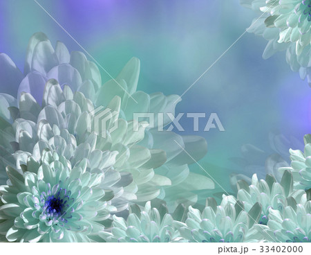 flower on blurry turquoise-blue background bokeh.  33402000