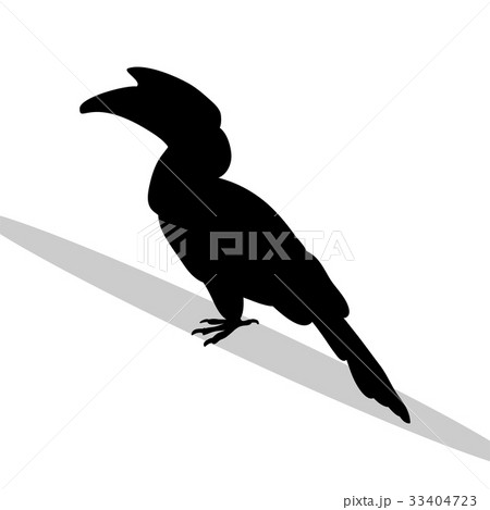 Hornbill bird black silhouette animal Hornbill bird black silhouette animal 33404723