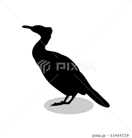 Cormorant Bird Black Silhouette Animalのイラスト素材
