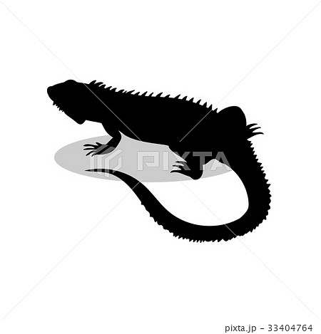 Iguana lizard reptile black silhouette animal Iguana lizard reptile black silhouette animal 33404764