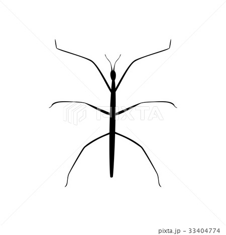 Stick insect black silhouette animal 33404774